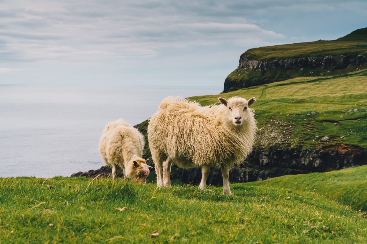 Bentley Bentayga V8: Faroe Islands