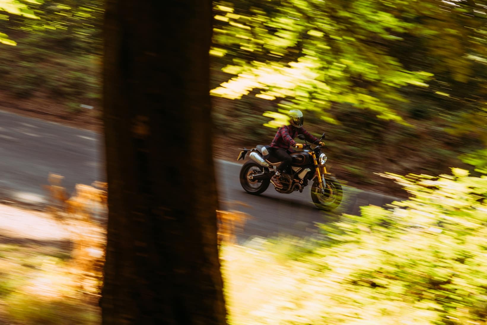 Ducati Scrambler 1100 Sport