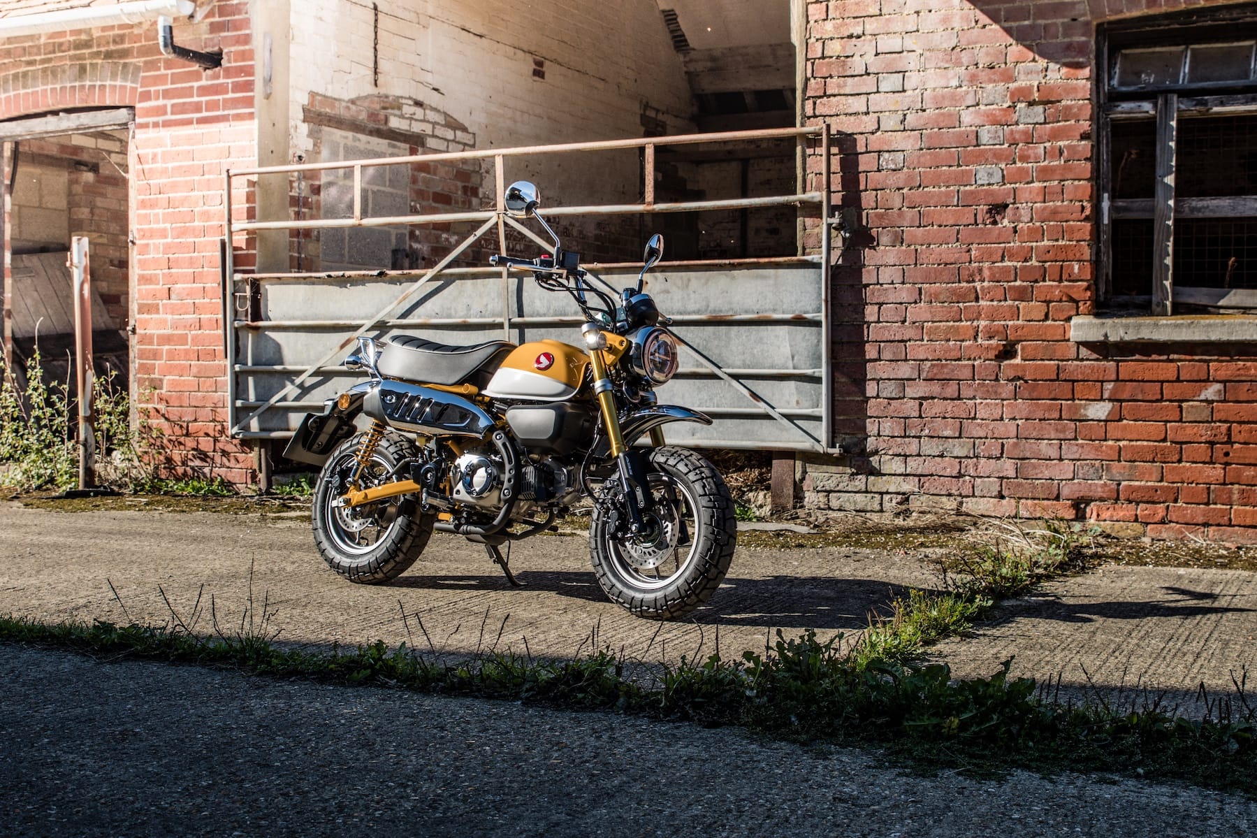 Honda Monkey