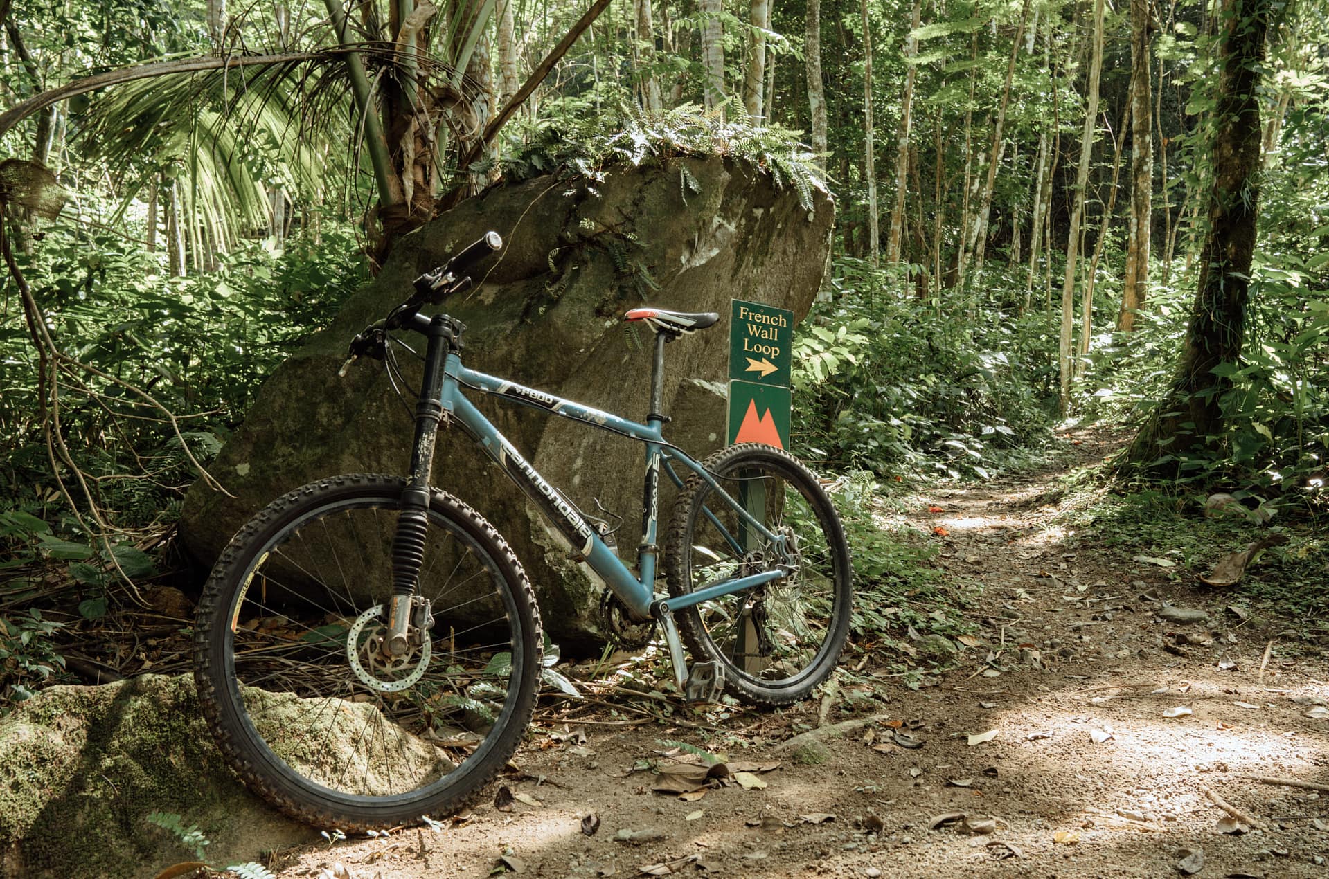 Caribbean Climbs: Off the beaten path in St Lucia