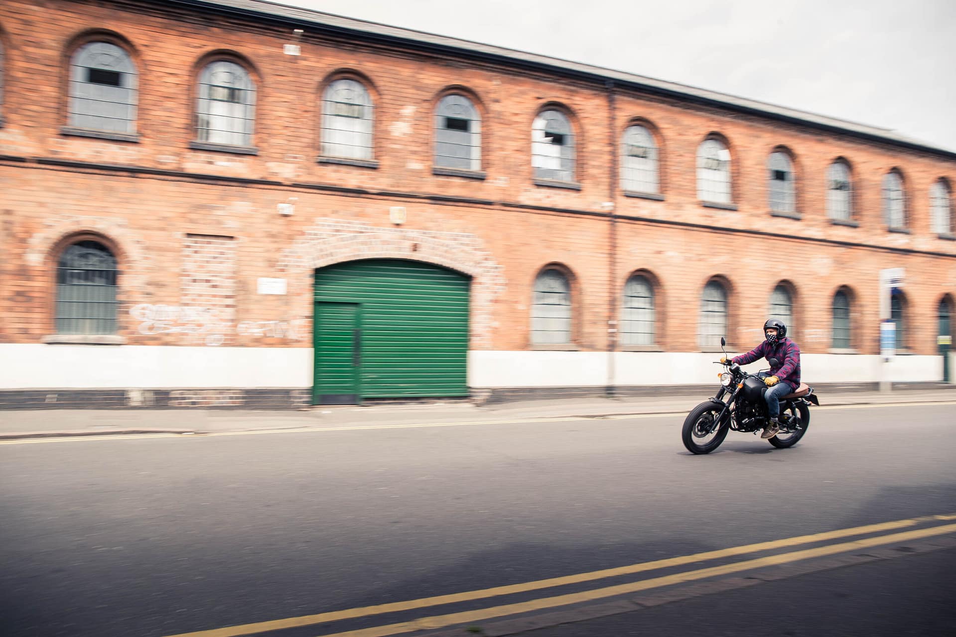 Mutt Mongrel