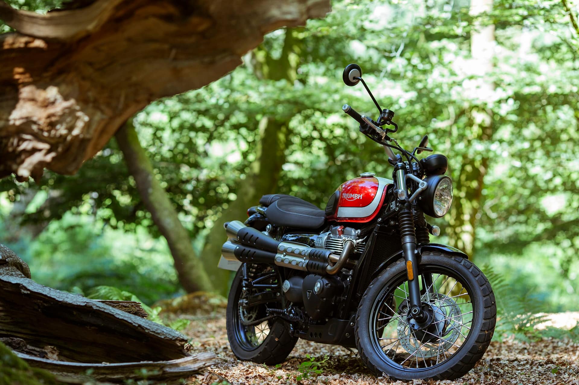 Triumph Street Scrambler