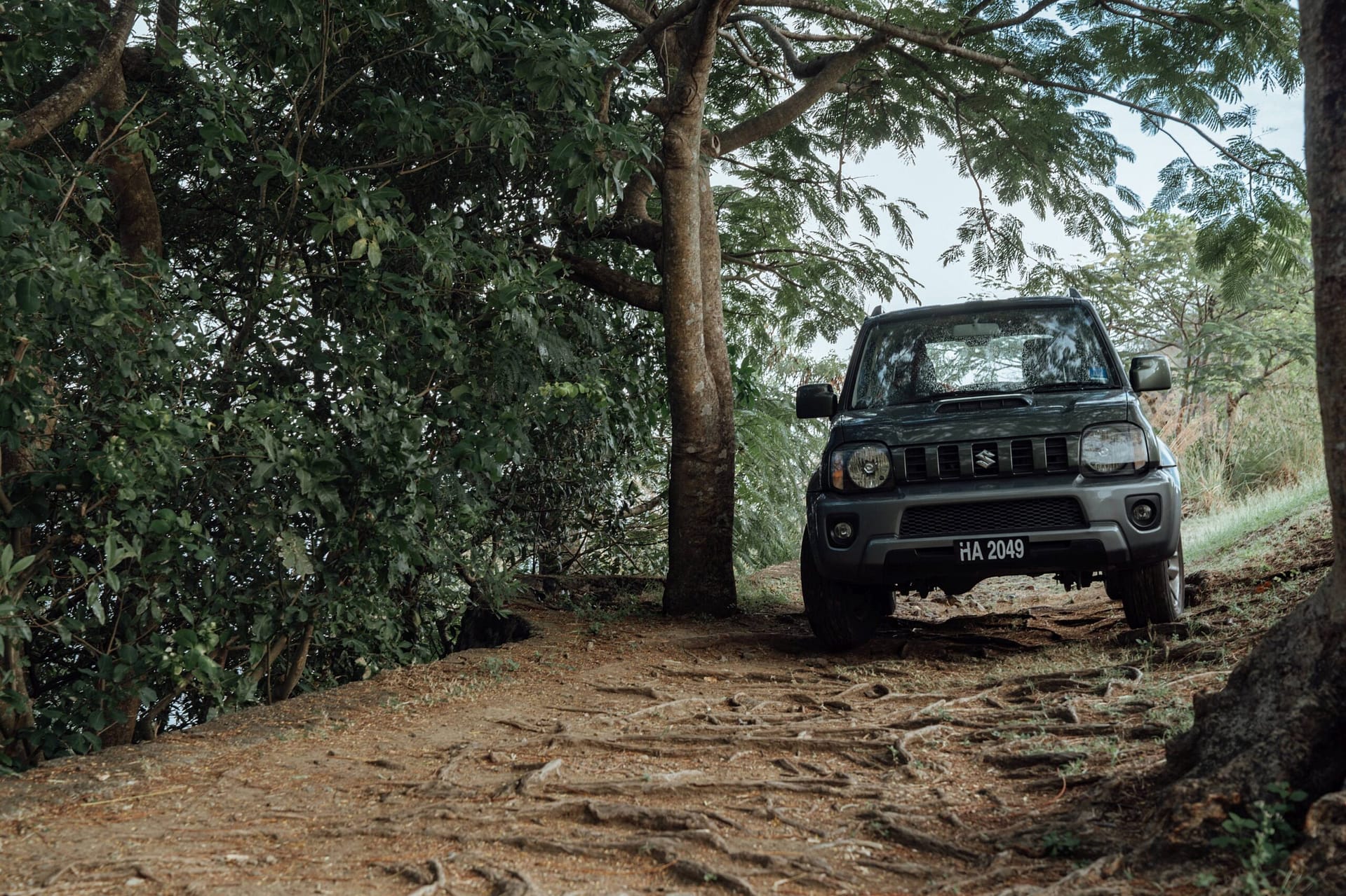 Caribbean Climbs: Off the beaten path in St Lucia