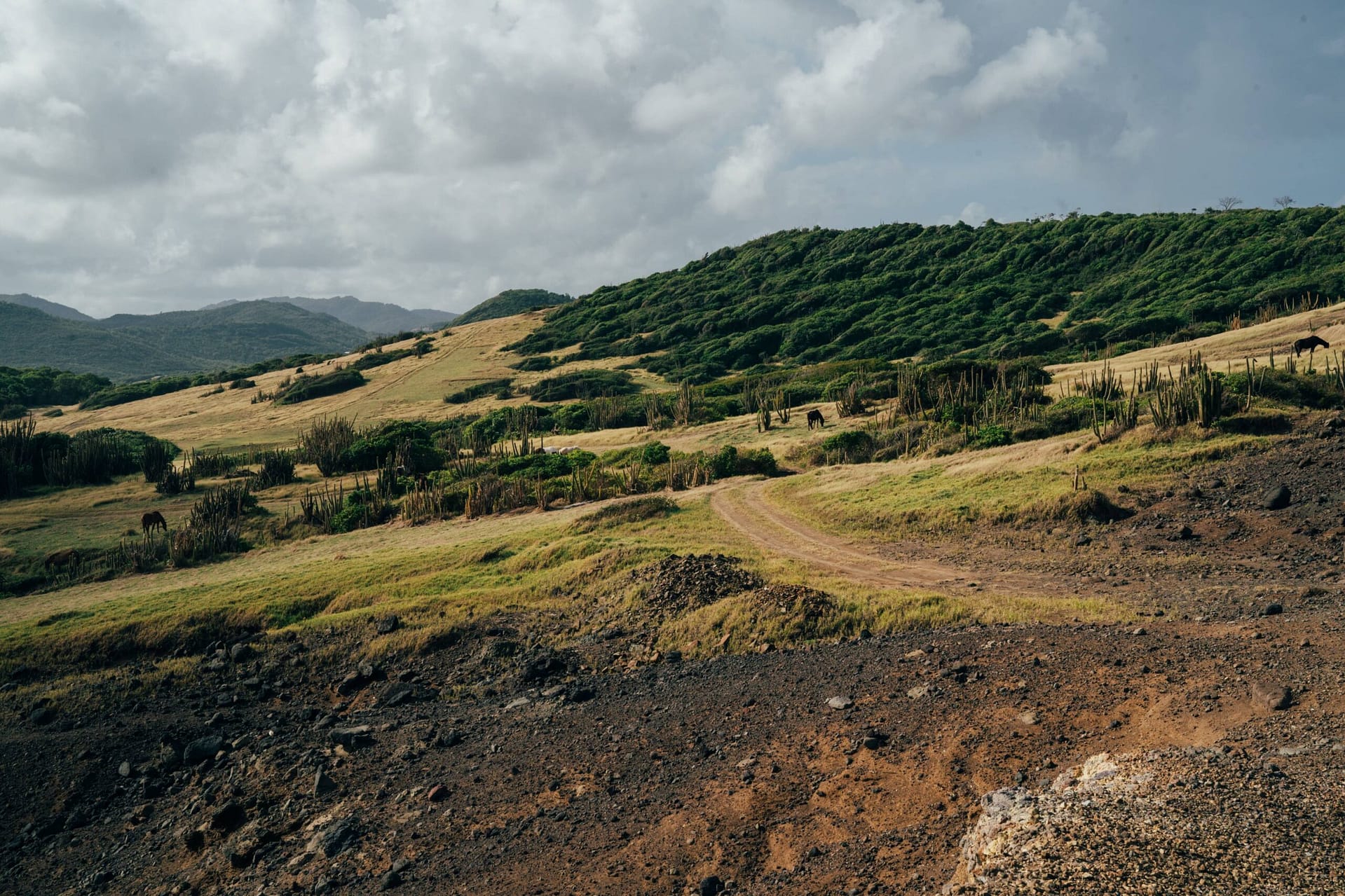 Caribbean Climbs: Off the beaten path in St Lucia