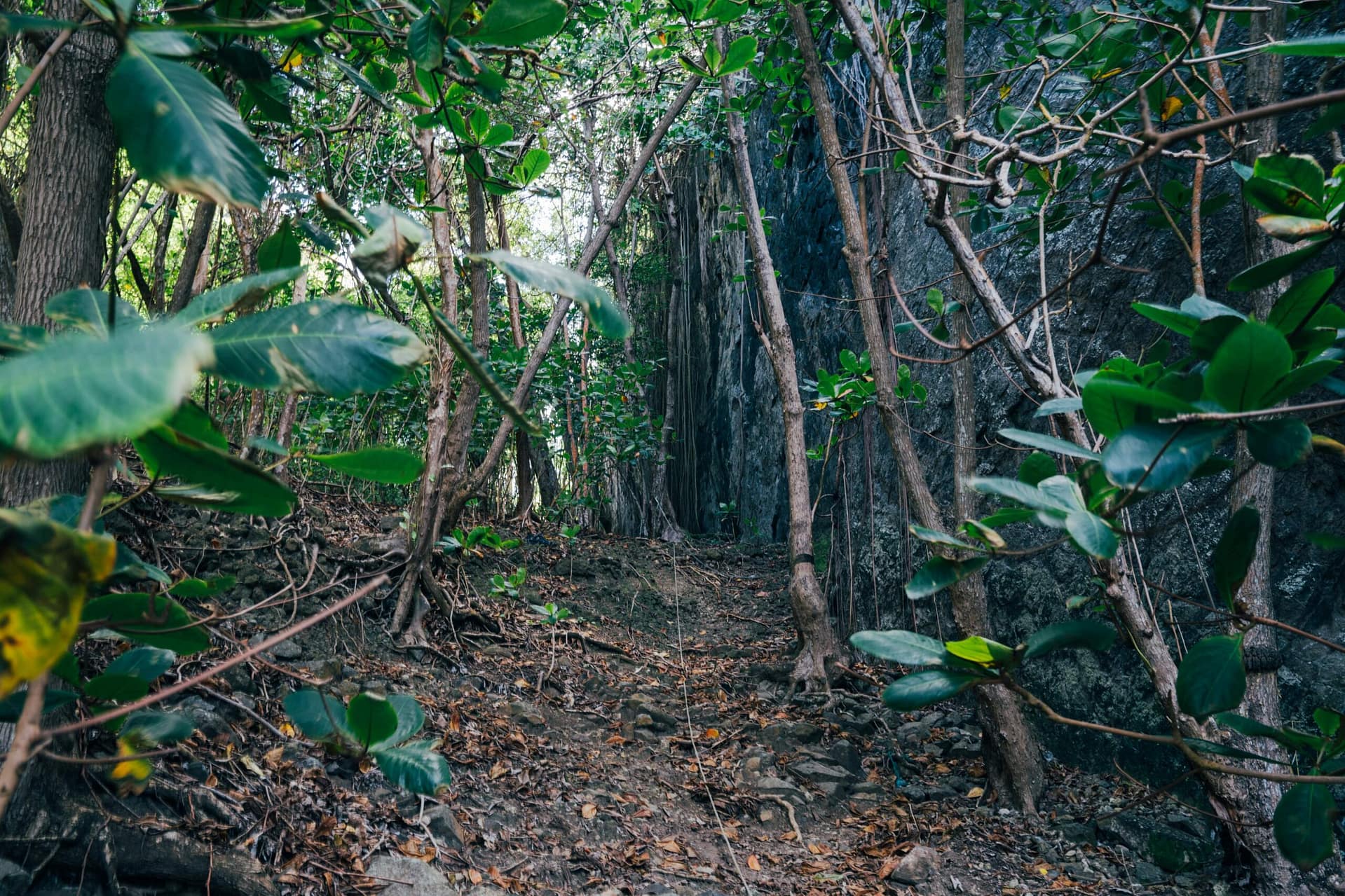 Caribbean Climbs: Off the beaten path in St Lucia
