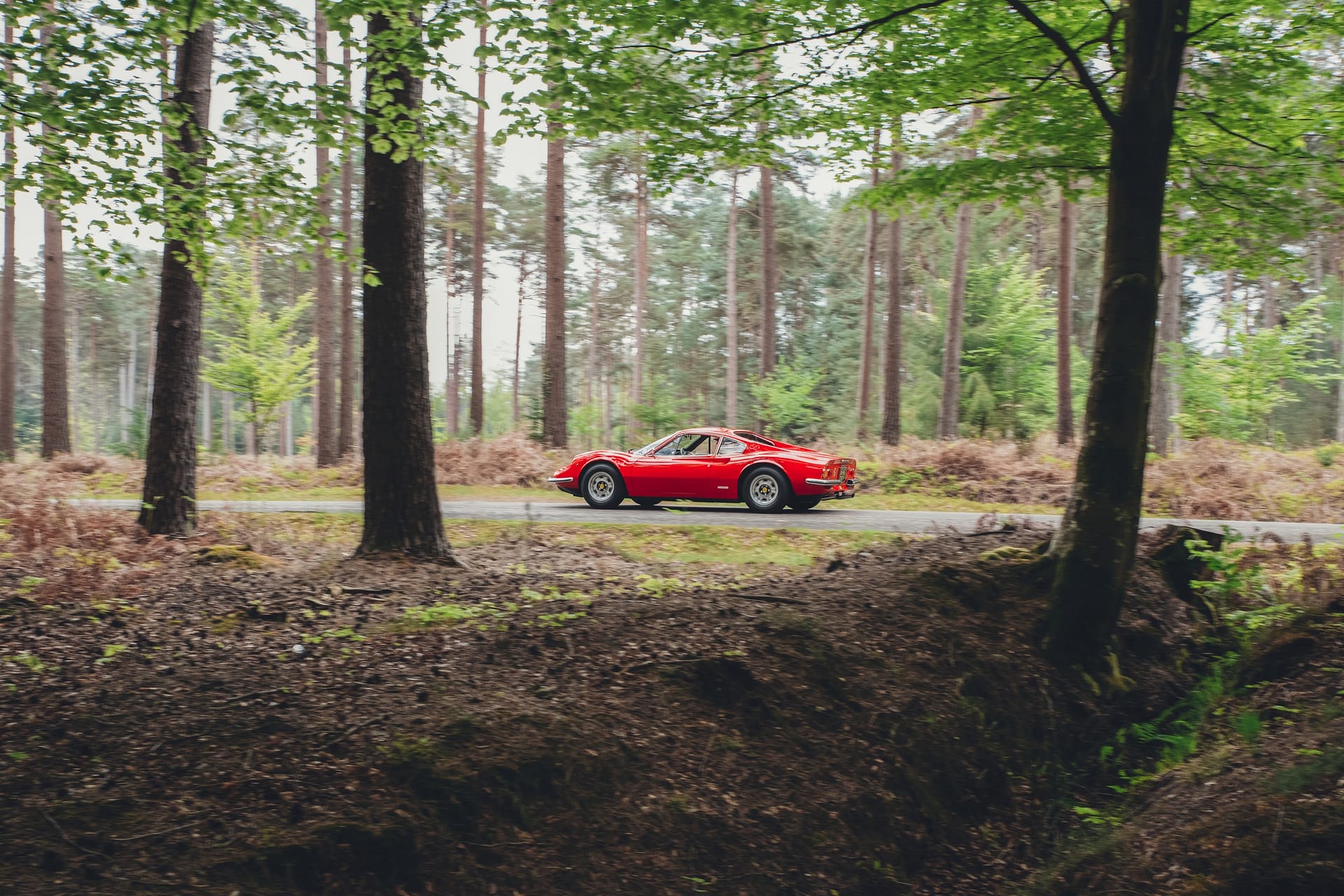Ferrari Dino