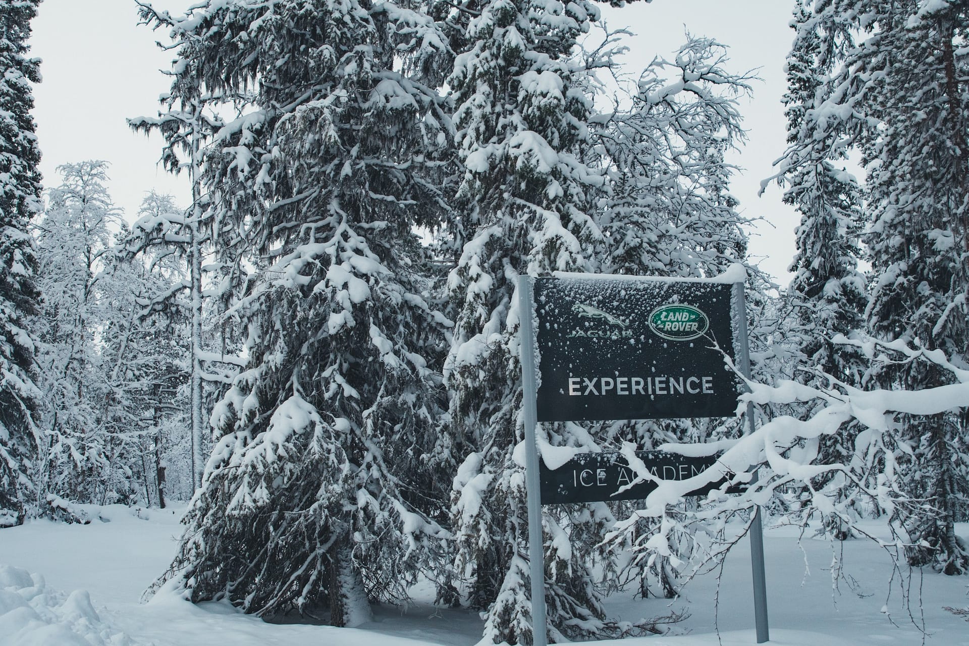 Jaguar Ice Academy