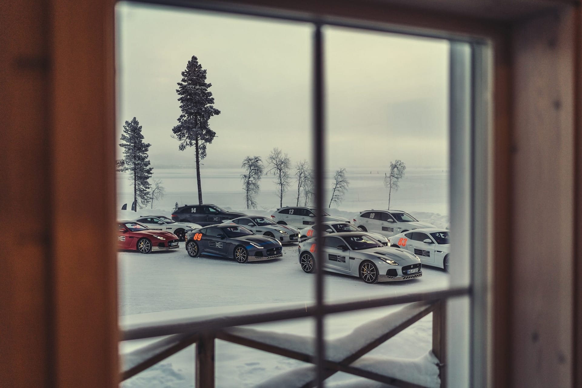 Jaguar Ice Academy
